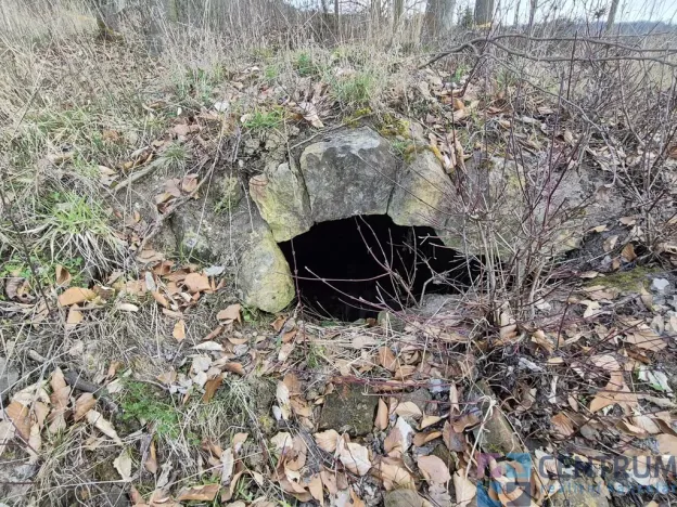 Prodej pozemku, Libuň - Jivany, 11210 m2