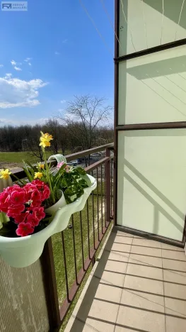 Prodej bytu 2+kk, Ostrava, Polská, 44 m2