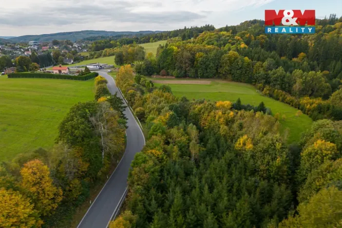 Prodej lesa, Kosov, 467 m2