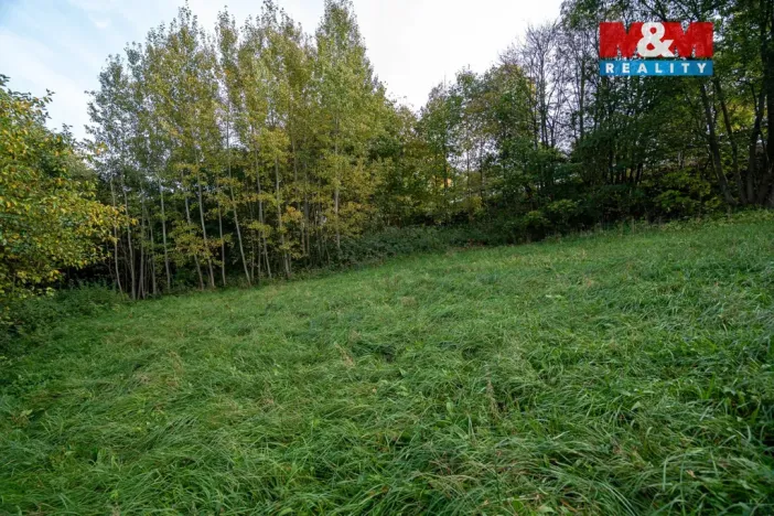 Prodej lesa, Kosov, 467 m2