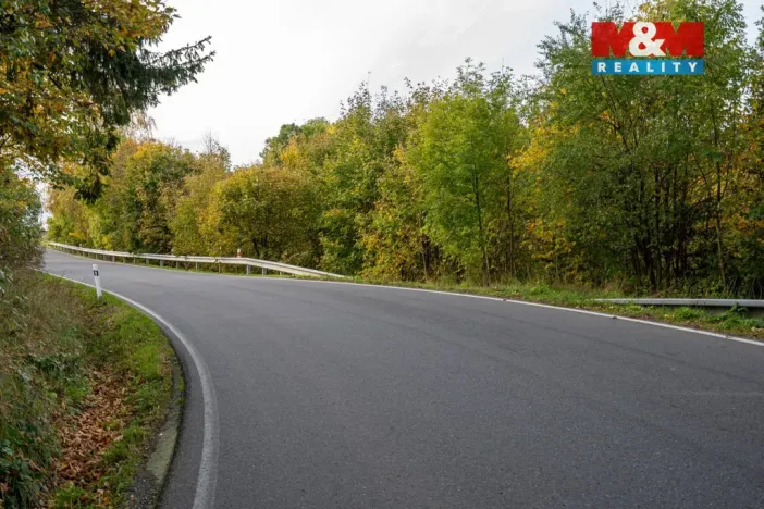 Prodej lesa, Kosov, 467 m2