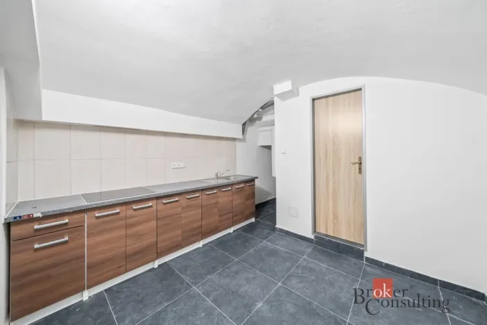 Pronájem - jiné, Plzeň - Jižní Předměstí, Husova, 110 m2