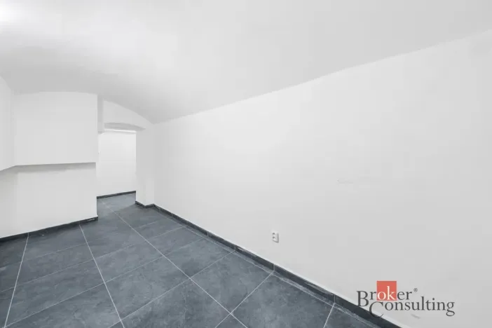 Pronájem - jiné, Plzeň - Jižní Předměstí, Husova, 110 m2