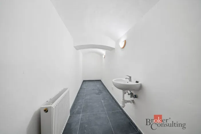 Pronájem - jiné, Plzeň - Jižní Předměstí, Husova, 110 m2