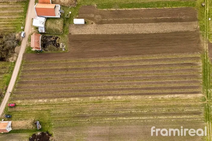 Prodej pozemku, Moravský Žižkov, 2781 m2