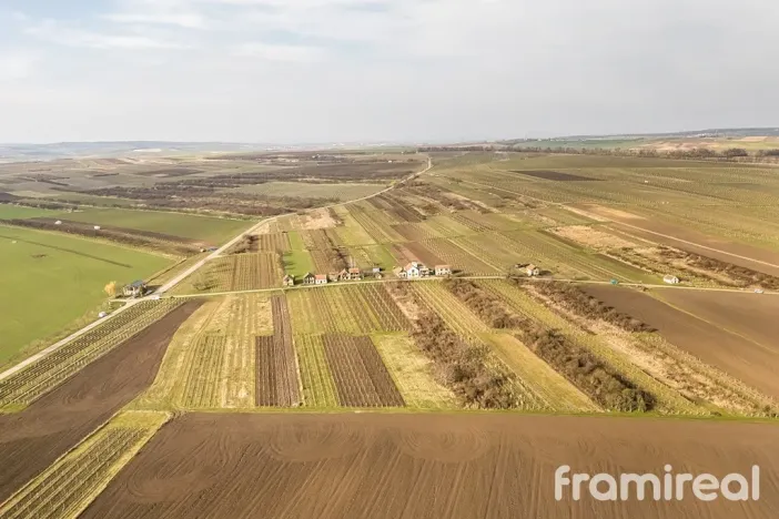 Prodej pozemku, Moravský Žižkov, 2781 m2