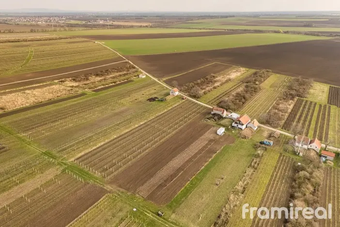 Prodej pozemku, Moravský Žižkov, 2781 m2