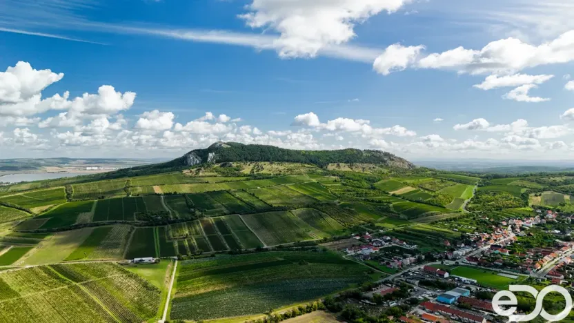 Prodej rodinného domu, Dolní Dunajovice, Krátká, 125 m2