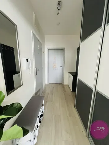 Pronájem bytu 2+kk, Olomouc, Loudova, 76 m2