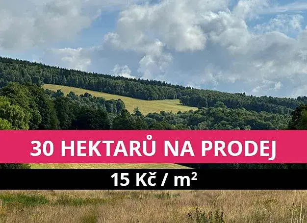 Prodej louky, Stráž nad Ohří, 308543 m2