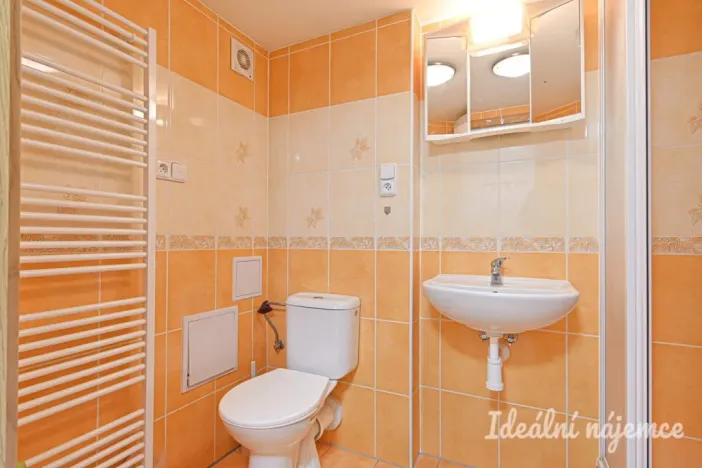 Pronájem bytu 1+kk, Adamov, Osvobození, 30 m2