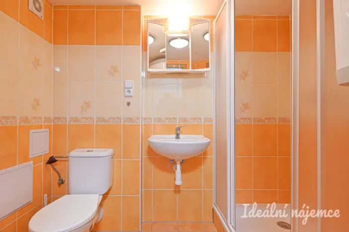 Pronájem bytu 1+kk, Adamov, Osvobození, 30 m2