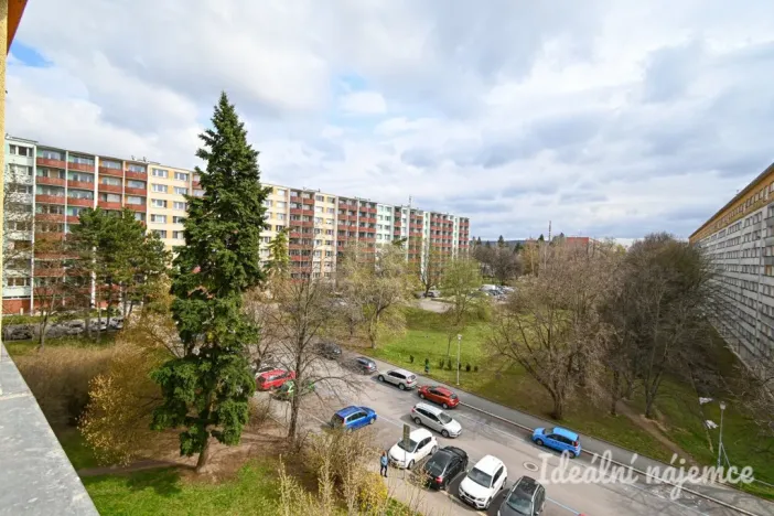 Pronájem bytu 1+kk, Brno, Halasovo náměstí, 22 m2