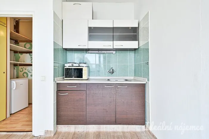 Pronájem bytu 1+kk, Brno - Lesná, Halasovo náměstí, 22 m2