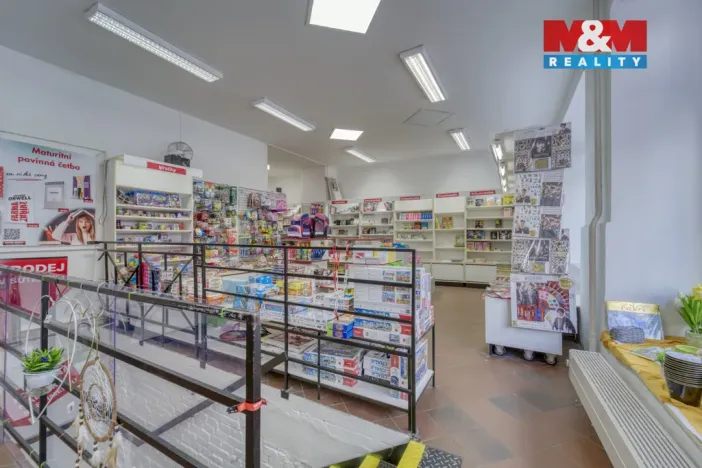 Pronájem obchodního prostoru, Plzeň - Vnitřní Město, Bedřicha Smetany, 304 m2