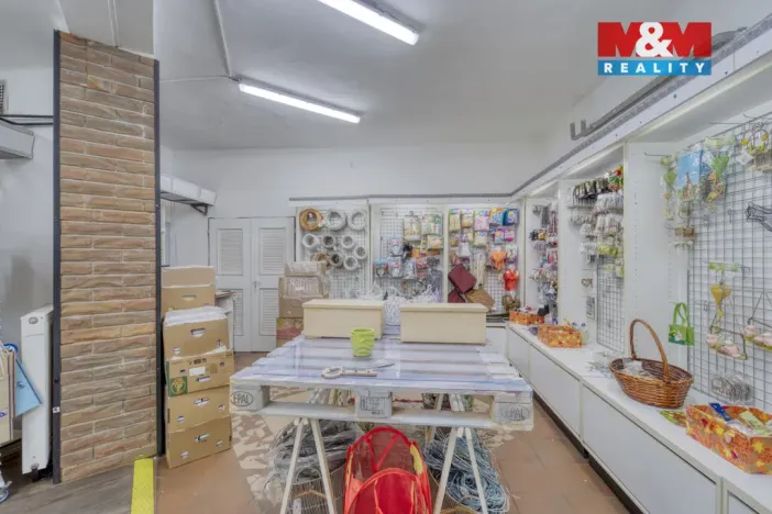 Pronájem obchodního prostoru, Plzeň - Vnitřní Město, Bedřicha Smetany, 304 m2