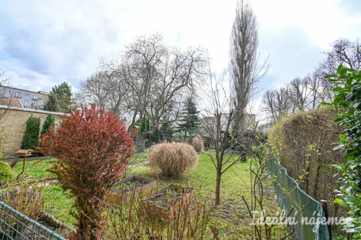 Pronájem bytu 2+kk, Brno - Královo Pole, Berkova, 41 m2