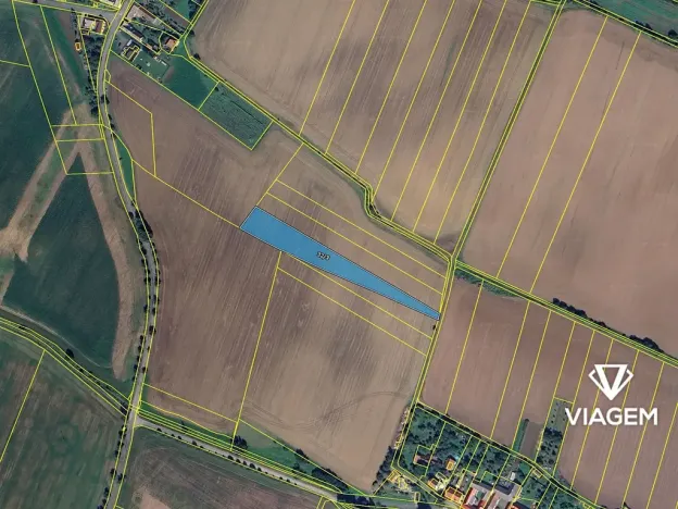 Prodej pole, Bezděčí u Trnávky, 6239 m2