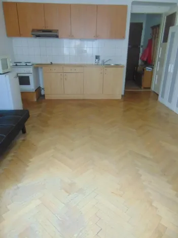 Pronájem bytu 1+kk, Praha - Nusle, U křížku, 28 m2