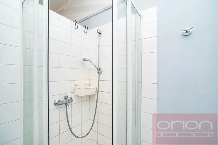 Pronájem bytu 3+kk, Praha - Vinohrady, Italská, 128 m2