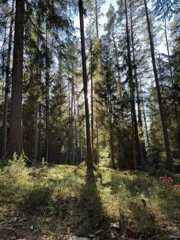 Prodej pozemku pro bydlení, Lipno nad Vltavou, 1020 m2