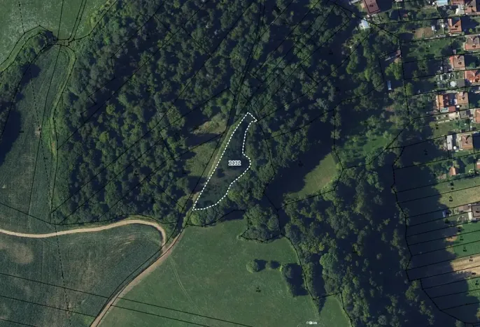 Prodej louky, Vavřinec, 16163 m2