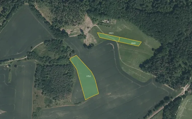 Prodej pole, Čížová, 12153 m2