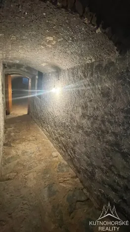 Pronájem chalupy, Čestín, 350 m2