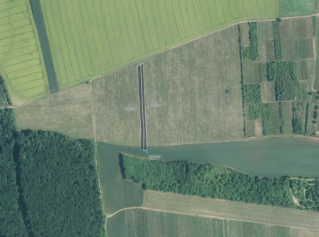 Prodej louky, Brumovice, 9612 m2