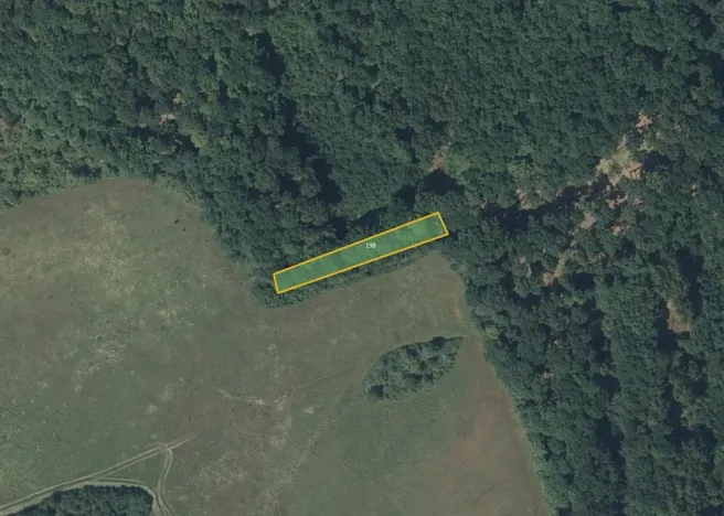 Prodej louky, Nesvačily, 9239 m2