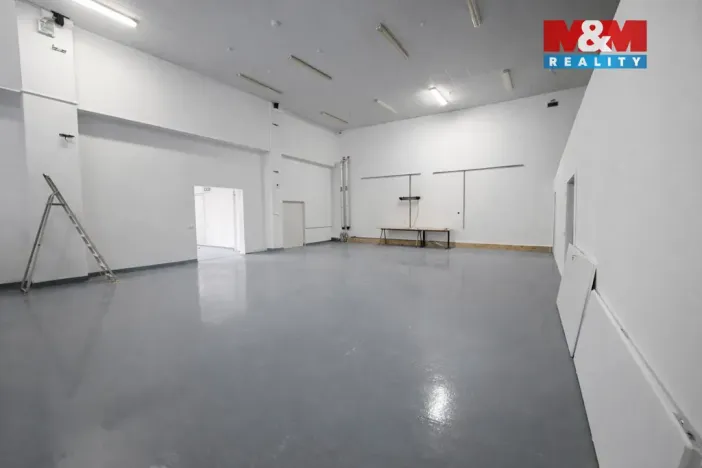 Pronájem skladu, Praha - Strašnice, K Červenému dvoru, 42 m2