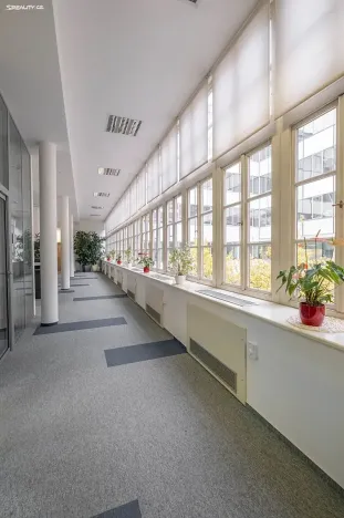 Pronájem kanceláře, Praha - Nové Město, Politických vězňů, 300 m2