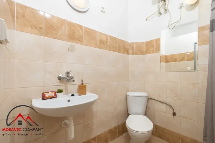 Pronájem bytu 1+1, Ostrava, Mariánskohorská, 37 m2