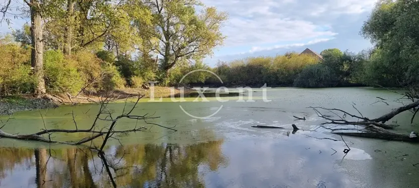 Prodej zemědělské usedlosti, Běrunice, 600 m2