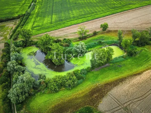 Prodej zemědělského objektu, Běrunice, 600 m2