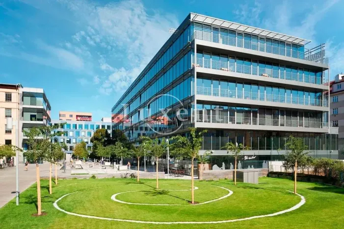 Pronájem kanceláře, Praha - Holešovice, Jankovcova, 330 m2