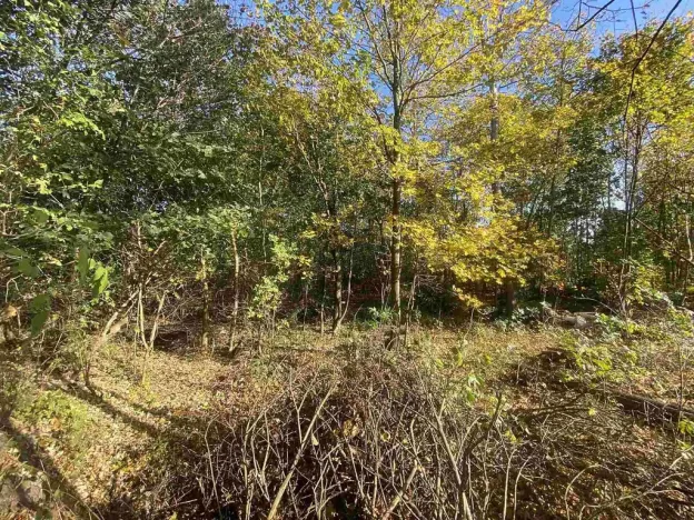 Prodej pozemku, Zdislava, 1043 m2