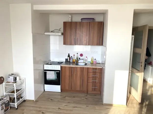 Prodej bytu 2+kk, Bzová, 42 m2