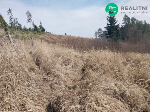 Prodej lesa, Spešov, 2643 m2