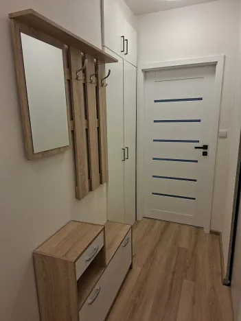 Pronájem bytu 1+1, Olomouc, Wolkerova, 39 m2