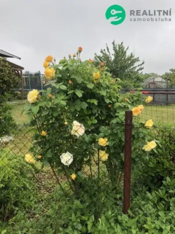 Prodej zahrady, Chomutov, Na Moráni zahrádkářská kolonie, 389 m2