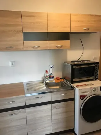 Prodej ubytování, Olomouc, Rejskova, 154 m2