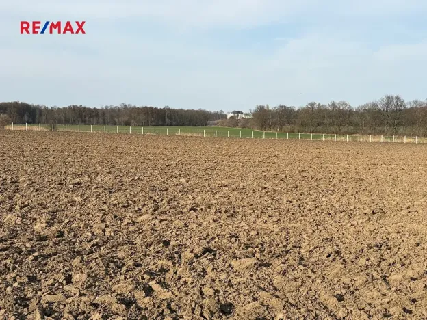 Prodej sadu/vinice, Nové Dvory, 9979 m2