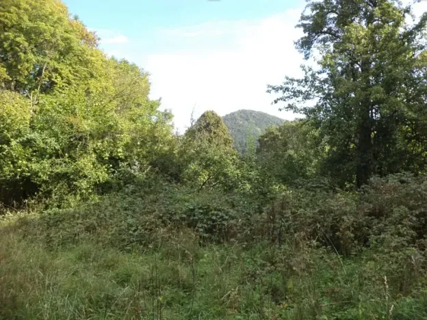 Dražba louky, Malé Březno, 14517 m2