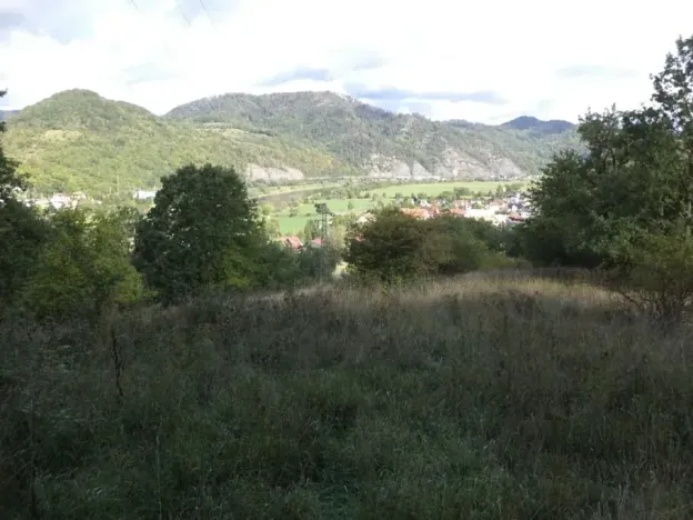 Dražba louky, Malé Březno, 14517 m2