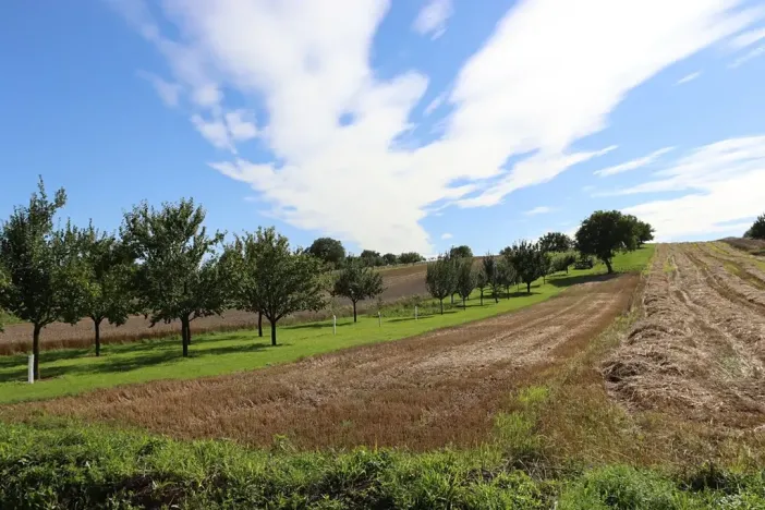 Prodej pozemku pro bydlení, Svatobořice-Mistřín, 2402 m2