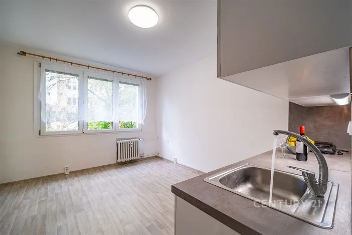 Pronájem bytu 1+kk, České Budějovice - České Budějovice 3, Plzeňská, 21 m2