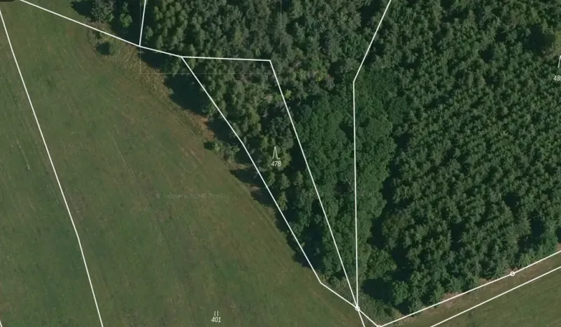 Prodej lesa, Čepřovice, 1644 m2