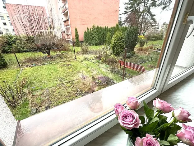 Pronájem bytu 1+kk, Frýdek-Místek, El. Krásnohorské, 29 m2