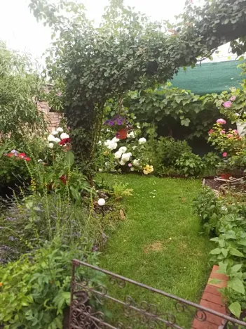 Prodej vícegeneračního domu, Mikulov, Na Jámě, 220 m2